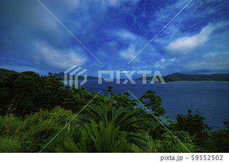 奄美大島 鹿児島 ビーチ 海 自然 マネン崎 広角 ワイド 海岸 俯瞰 奄美大島 鹿児島 ビーチ 海 自然 マネン崎 広角 ワイド 海岸 俯瞰 59552502