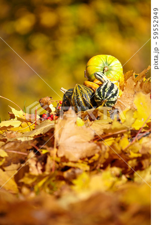 Autumn background 59552949