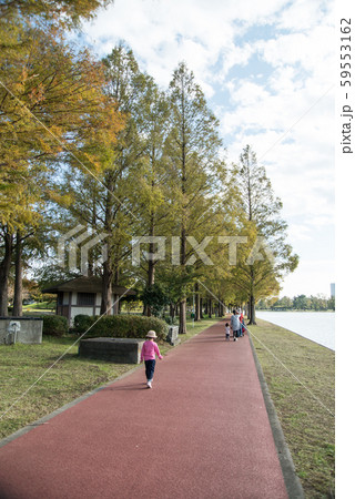 秋の三郷公園 子供も大人も楽しめる自然あふれる公園 埼玉県三郷市の写真素材