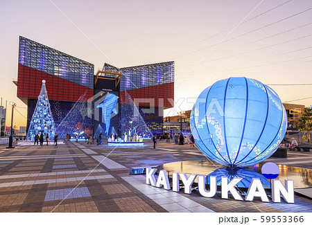 大阪・海遊館・イルミネーション 大阪・海遊館・イルミネーション 59553366