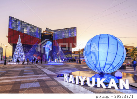 大阪・海遊館・イルミネーション 59553371