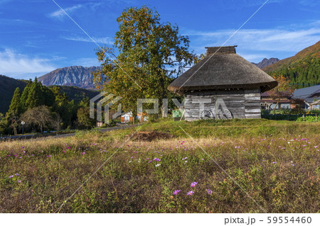 秋の風景_大山と茅葺屋根の小屋 秋の風景_大山と茅葺屋根の小屋 59554460