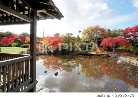 札幌　平岡樹芸センターの日本庭園 59555779