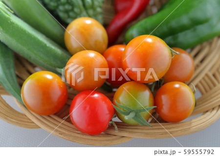 野菜盛り 野菜盛り 59555792