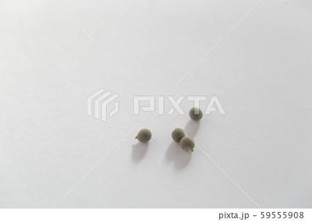 オクラのタネ 59555908