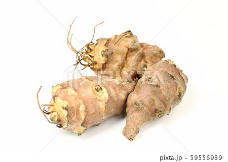 菊芋、根菜、健康食材 菊芋、根菜、健康食材 59556939