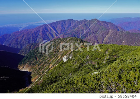 毛勝山頂からの越中駒ヶ岳と日本海の水平線 59558404