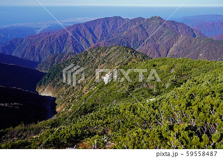 毛勝山からの越中駒ヶ岳 59558487