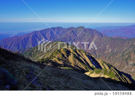 毛勝山頂からの越中駒ヶ岳と日本海の水平線 59558488