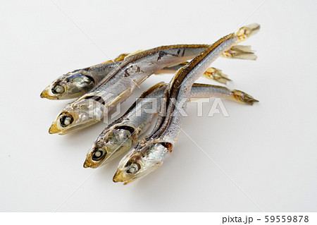 煮干し 59559878