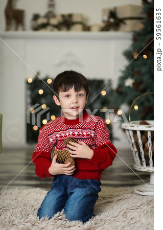 Portrait of a little boy play with pine cones near Portrait of a little boy play with pine cones near 59561635