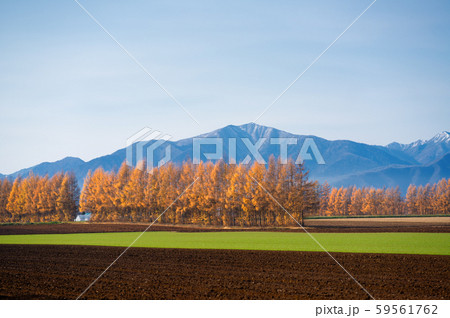 秋の十勝 秋の十勝 59561762