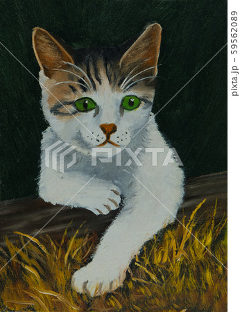 White cat with brown black striped head White cat with brown black striped head 59562089