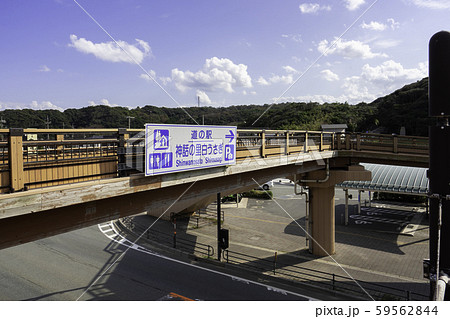 白兎海岸 道の駅神話の里白うさぎ 鳥取県鳥取市 白兎海岸 道の駅神話の里白うさぎ 鳥取県鳥取市 59562844