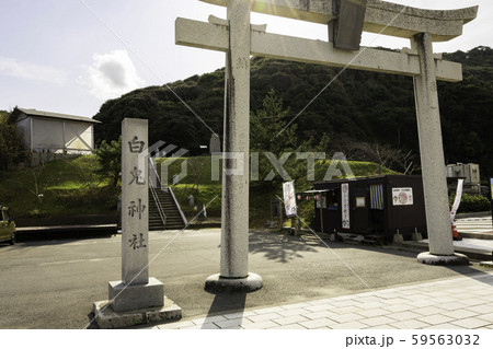 白兎神社　鳥居　鳥取県鳥取市 59563032