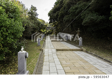 白兎神社 参道 鳥取県鳥取市 白兎神社 参道 鳥取県鳥取市 59563047