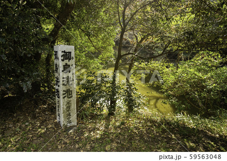 白兎神社 御身洗池 鳥取県鳥取市 白兎神社 御身洗池 鳥取県鳥取市 59563048