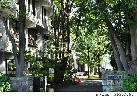 東京都世田谷区 多摩美術大学 上野毛キャンパスの写真素材 59563060 Pixta