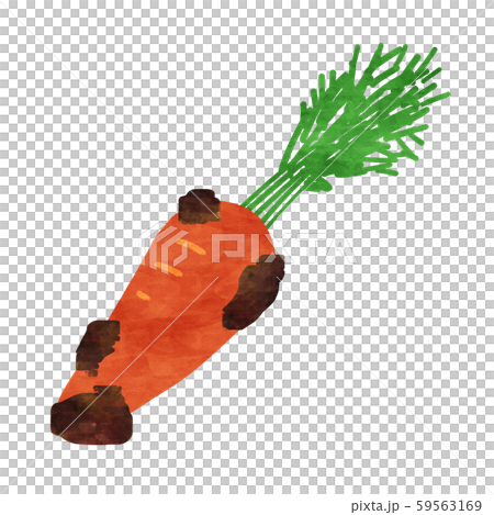 Orange carrot / carrot with mud Orange carrot / carrot with mud 59563169