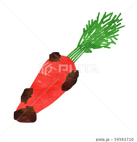 土の付いたオレンジ色の人参 ニンジンのイラスト素材