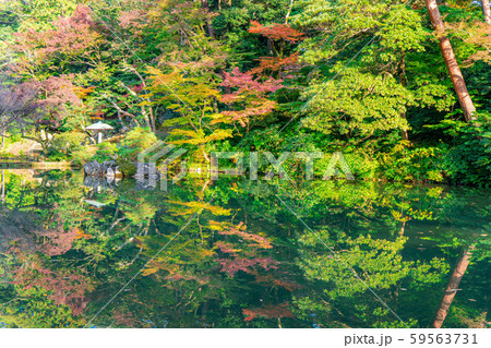 秋の兼六園　紅葉　【石川県】 59563731