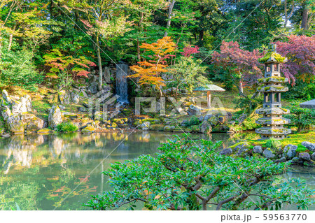 秋の兼六園 紅葉 【石川県】 秋の兼六園 紅葉 【石川県】 59563770