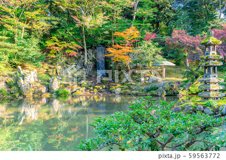 秋の兼六園　紅葉　【石川県】 59563772