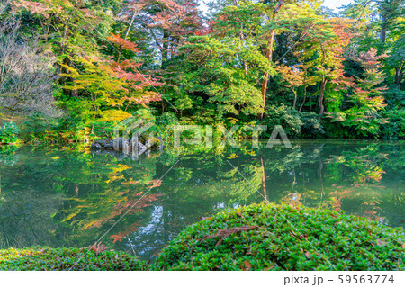 秋の兼六園　紅葉　【石川県】 59563774