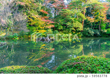 秋の兼六園　紅葉　【石川県】 59563778