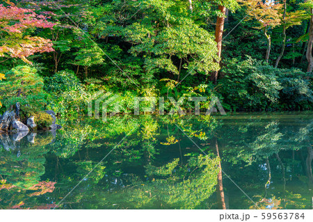 秋の兼六園　紅葉　【石川県】 59563784