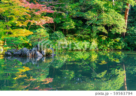 秋の兼六園　紅葉　【石川県】 59563794
