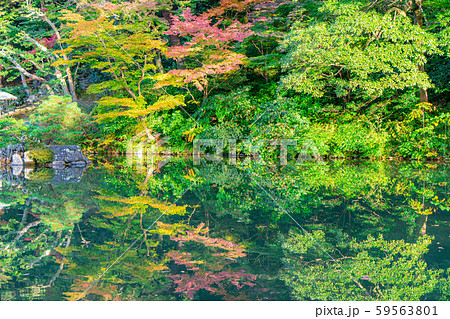 秋の兼六園　紅葉　【石川県】 59563801