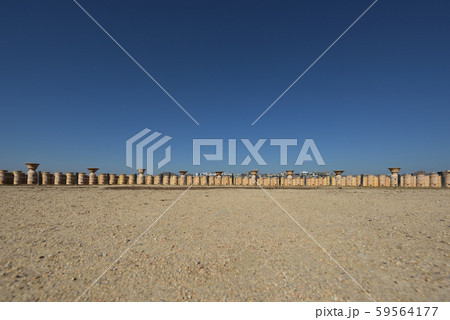 五色塚古墳　整列する円筒埴輪 59564177