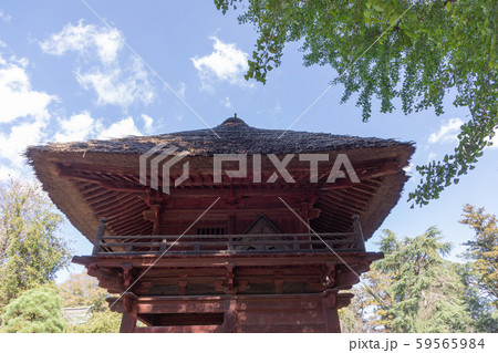 館林 茂林寺の風景 館林 茂林寺の風景 59565984