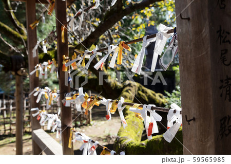 おみくじ 館林 茂林寺の風景 おみくじ 館林 茂林寺の風景 59565985