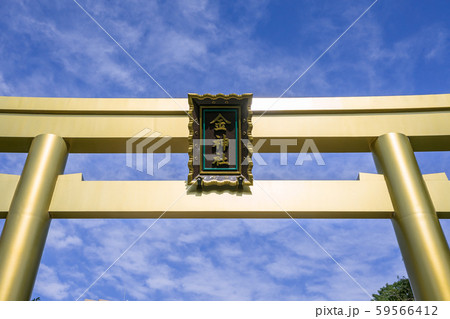 岐阜県　岐阜市　金神社  鳥居 59566412