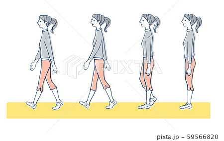 正しい歩き方 女性のイラスト素材