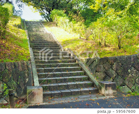 石段A 石段A 59567600