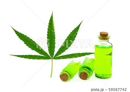 Hand holding a glass bottle with CBD oil and cannabis leaf at the  59567742