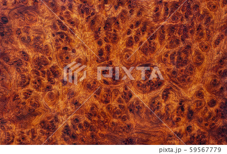 burl wood striped Exotic wooden beautiful pattern for crafts art or background burl wood striped Exotic wooden beautiful pattern for crafts art or background 59567779