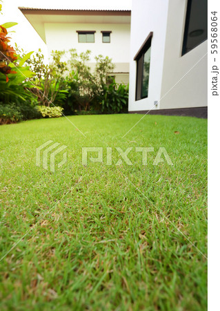 lawn landscaping with green grass turf in garden home lawn landscaping with green grass turf in garden home 59568064