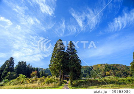 青空と社叢 秋田県 由利本荘市 青空と社叢 秋田県 由利本荘市 59568086