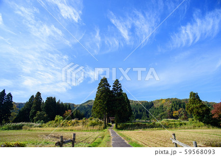 青空と社叢　秋田県　由利本荘市 59568093