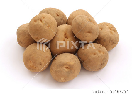 じゃがいも（男爵） 59568254