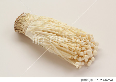 エノキタケ 59568258