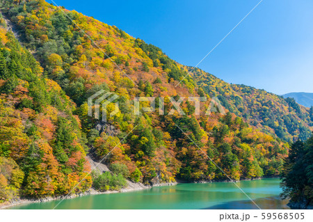 梓湖の紅葉 梓湖の紅葉 59568505