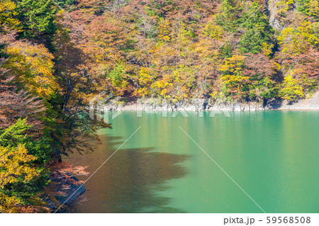 梓湖の紅葉 59568508
