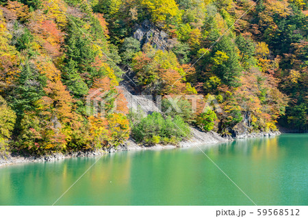 梓湖の紅葉 梓湖の紅葉 59568512
