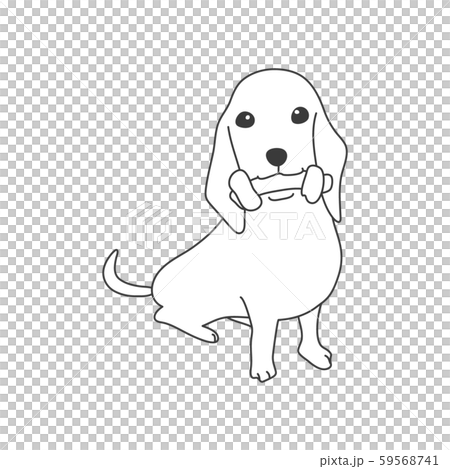 犬 ポーズ 表情 ミニチュアダックスフンド おすわりのイラスト素材