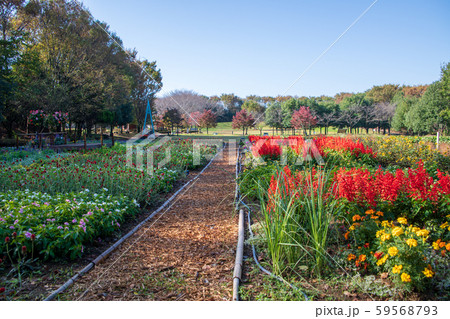 深谷グリーンパーク　 59568793